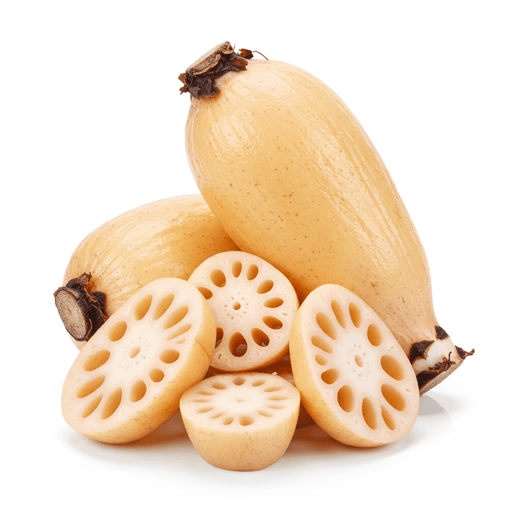 Lotus Root