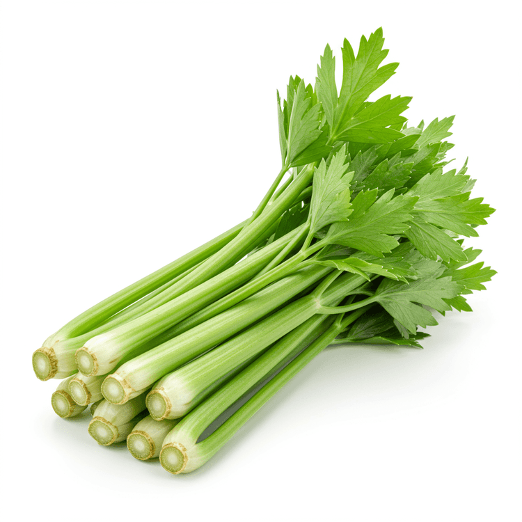 lovage