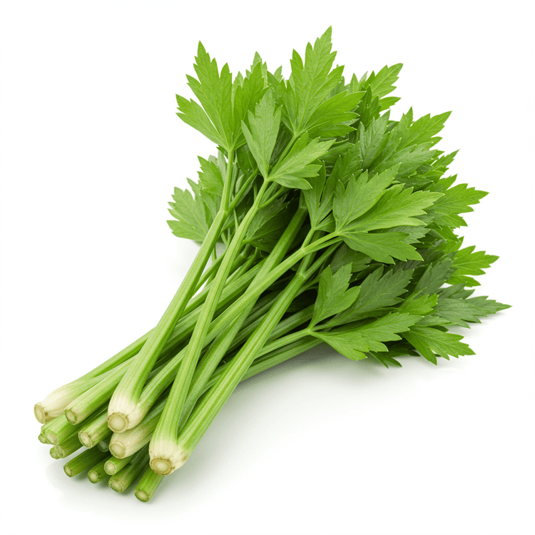 lovage