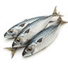 smoked mackerel