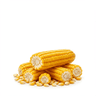 maize meal