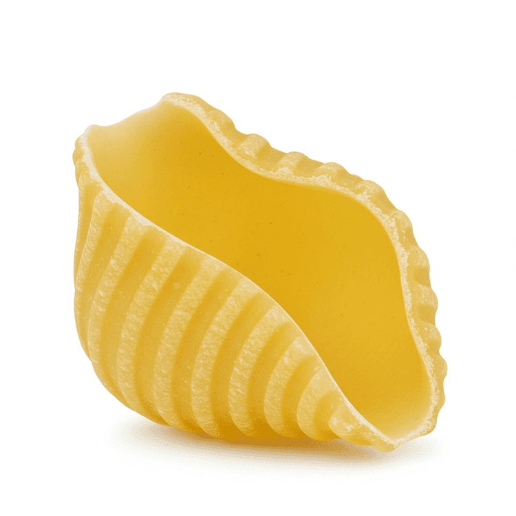 manicotti shell