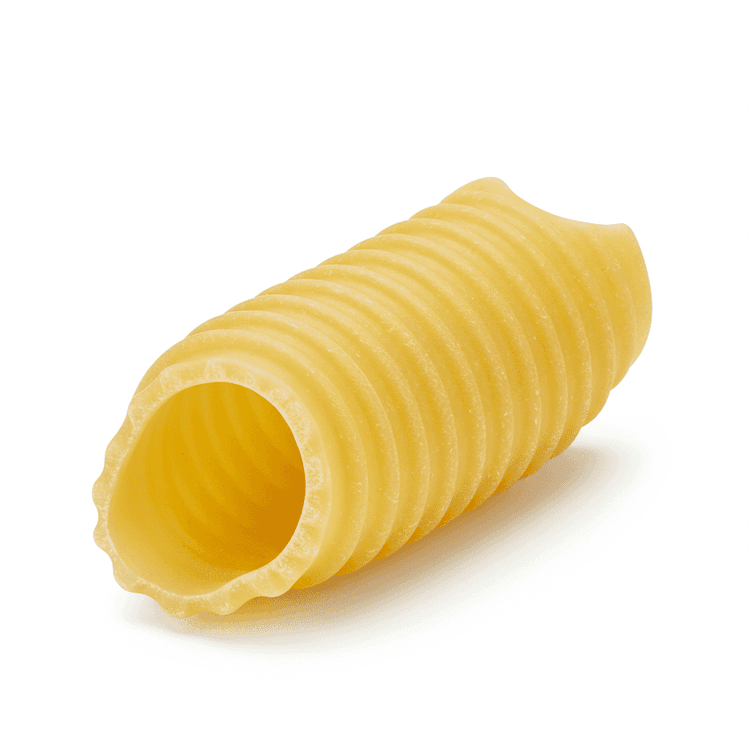 manicotti shell