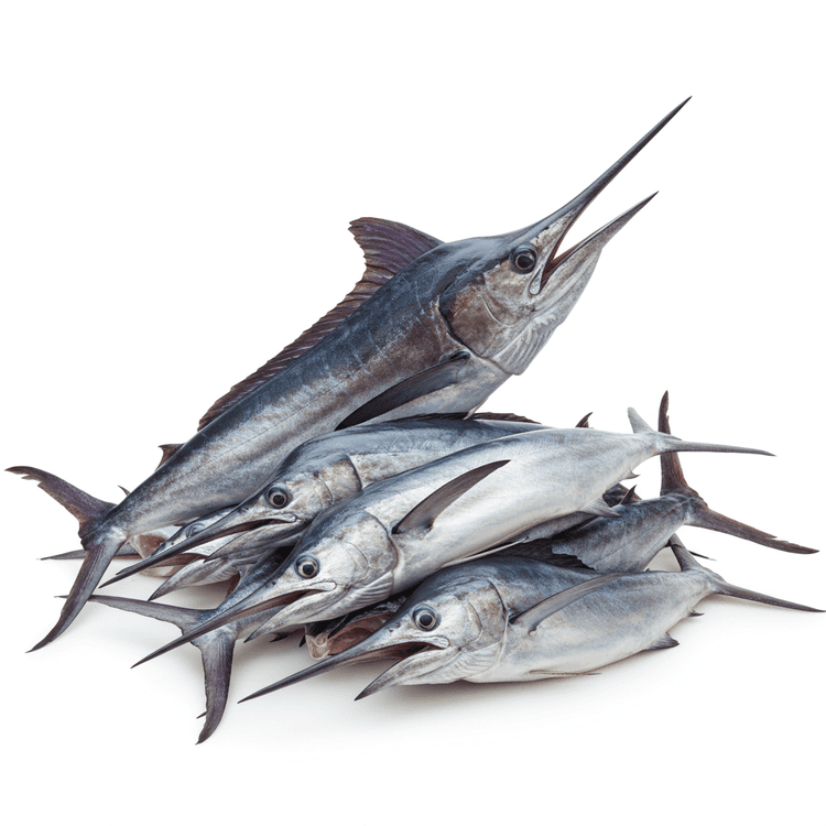 Marlin