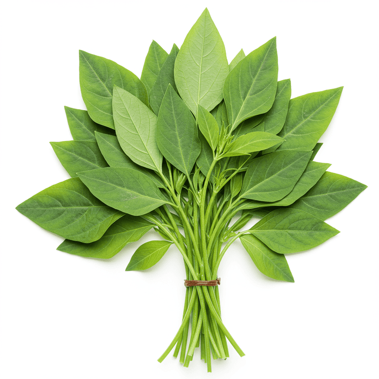 Methi Leaves