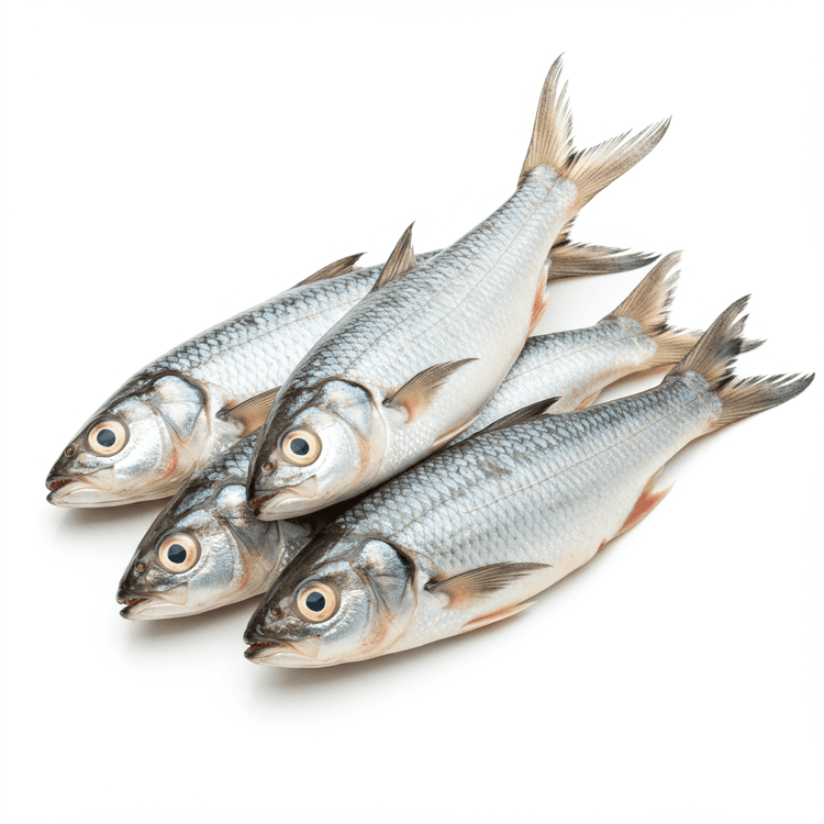 milkfish