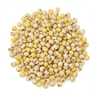 Millet