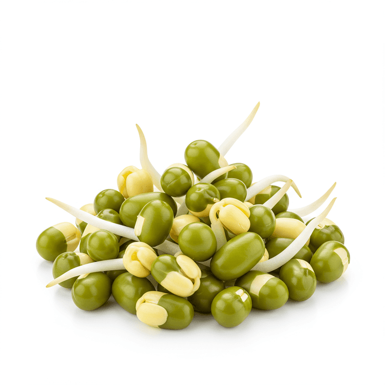 mung bean sprout