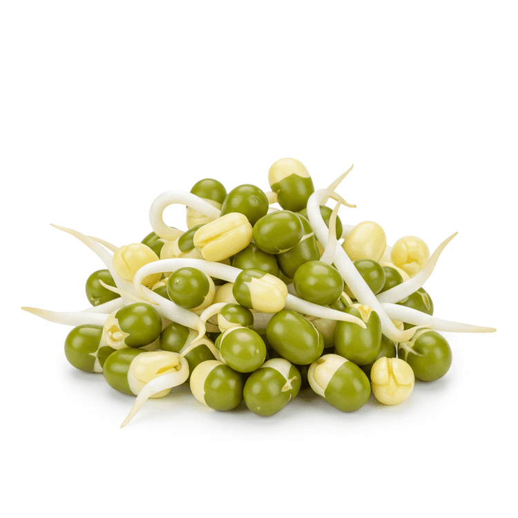 mung bean sprout