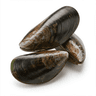 mussels