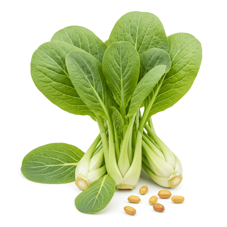 mustard green