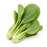 mustard greens (sarson), chopped