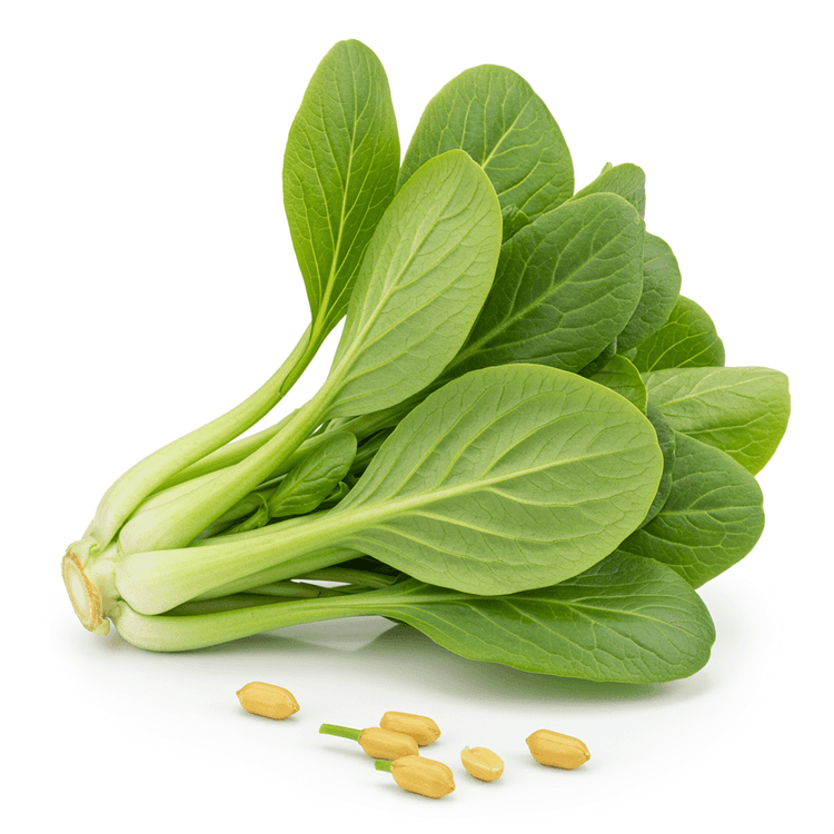 mustard green
