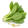 mustard greens