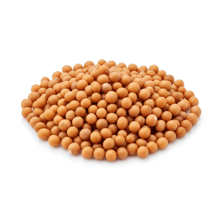 mustard seed