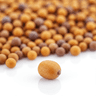 Mustard seeds