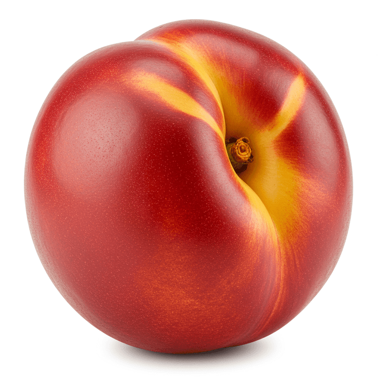 nectarine