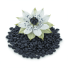 nigella seeds