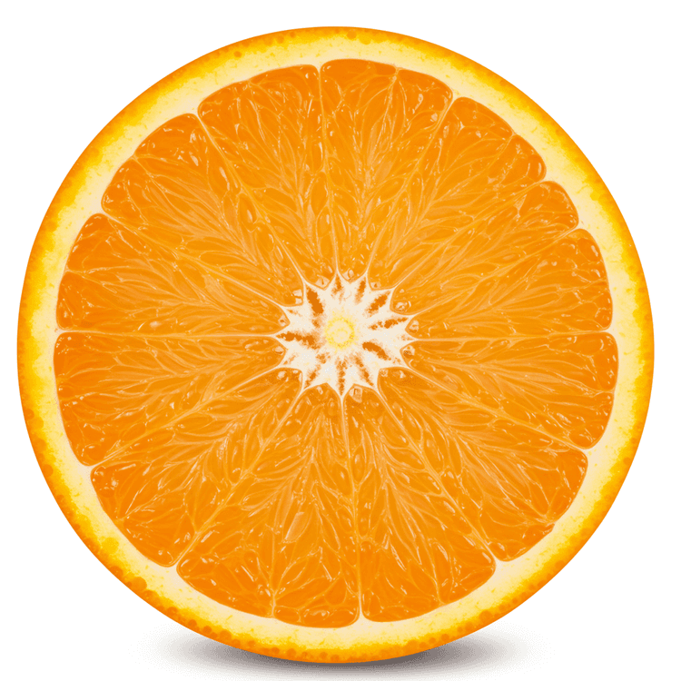 orange segment