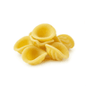 orecchiette pasta