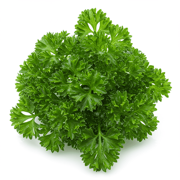 parsley