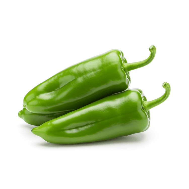 pasilla pepper