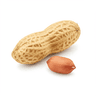 Peanuts