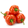 Peri Peri Seasoning