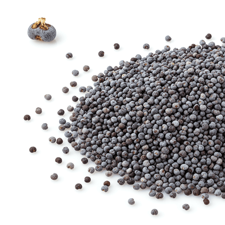 poppy seed