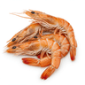 prawns