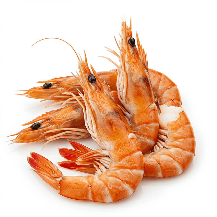 prawn stock