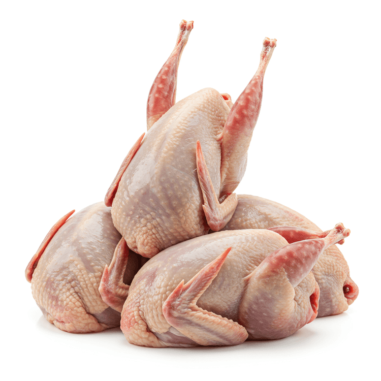 quail