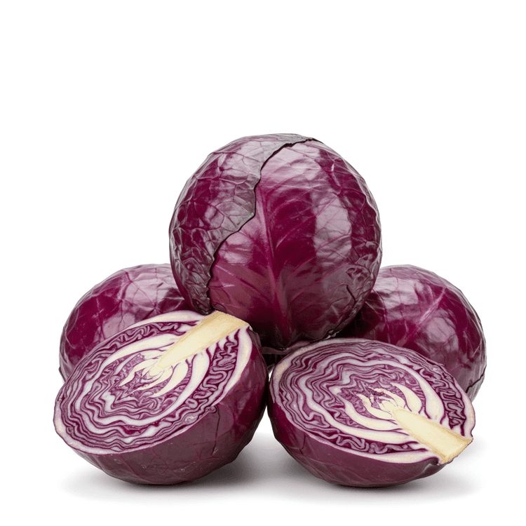 red cabbage