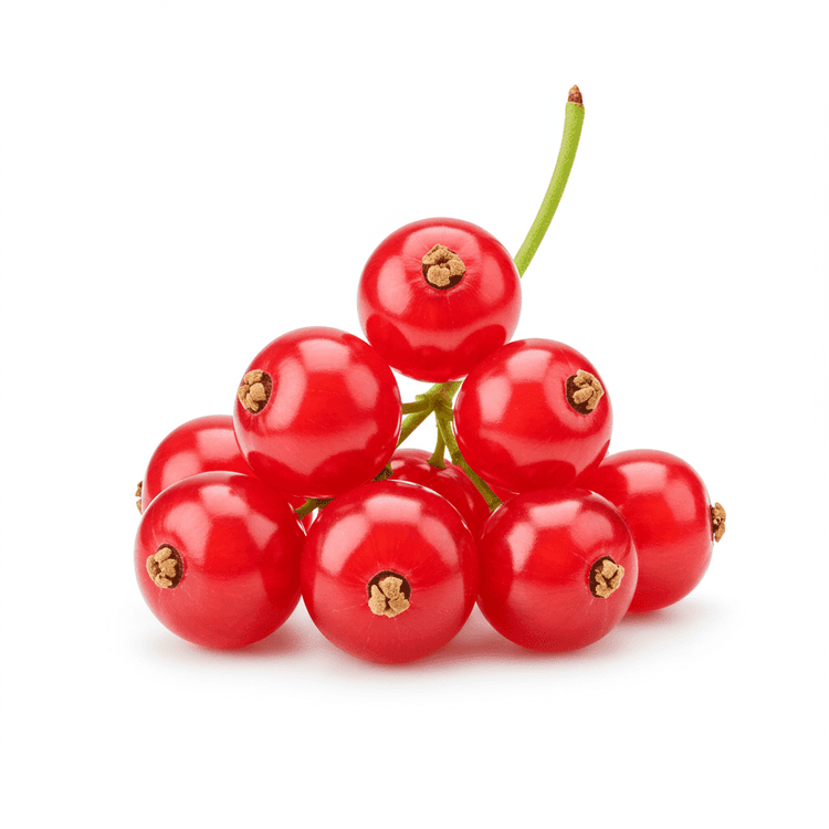 red currant
