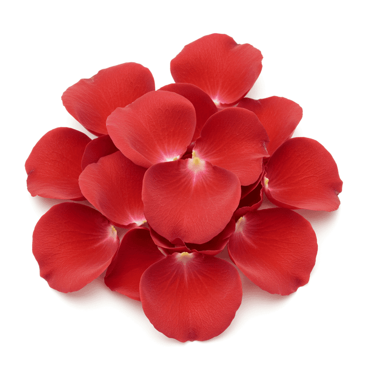 rose petals