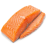 Salmon Fillets