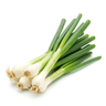 Scallions, chopped