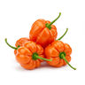 scotch bonnet pepper (or serrano)
