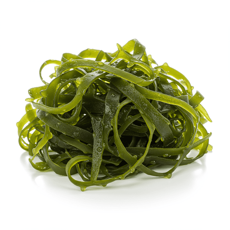 Seaweed