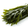 sheet seaweed