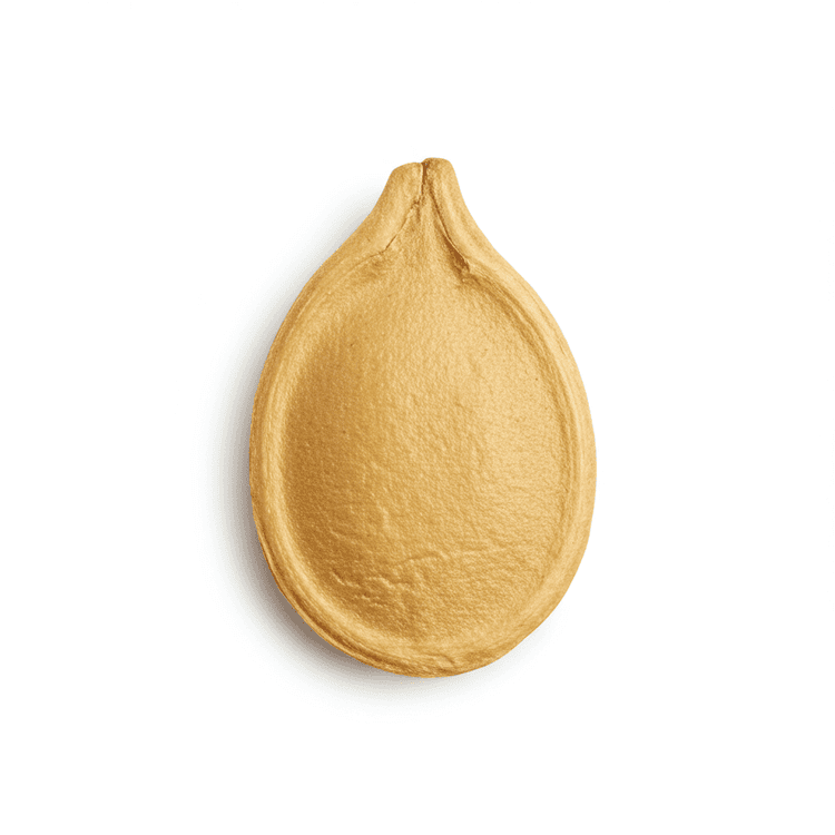 seed