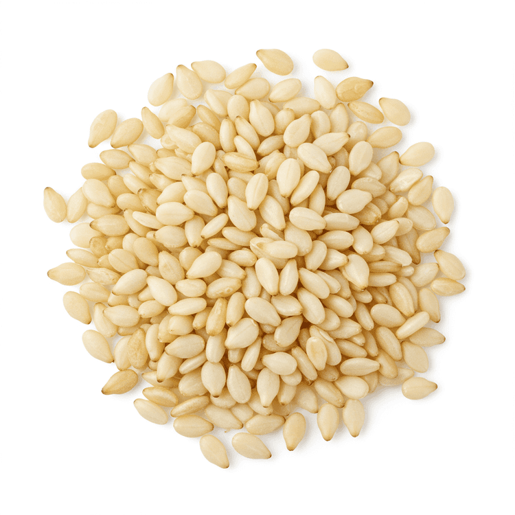 sesame seed