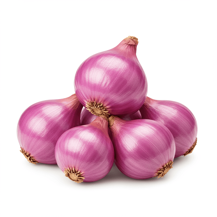 shallot