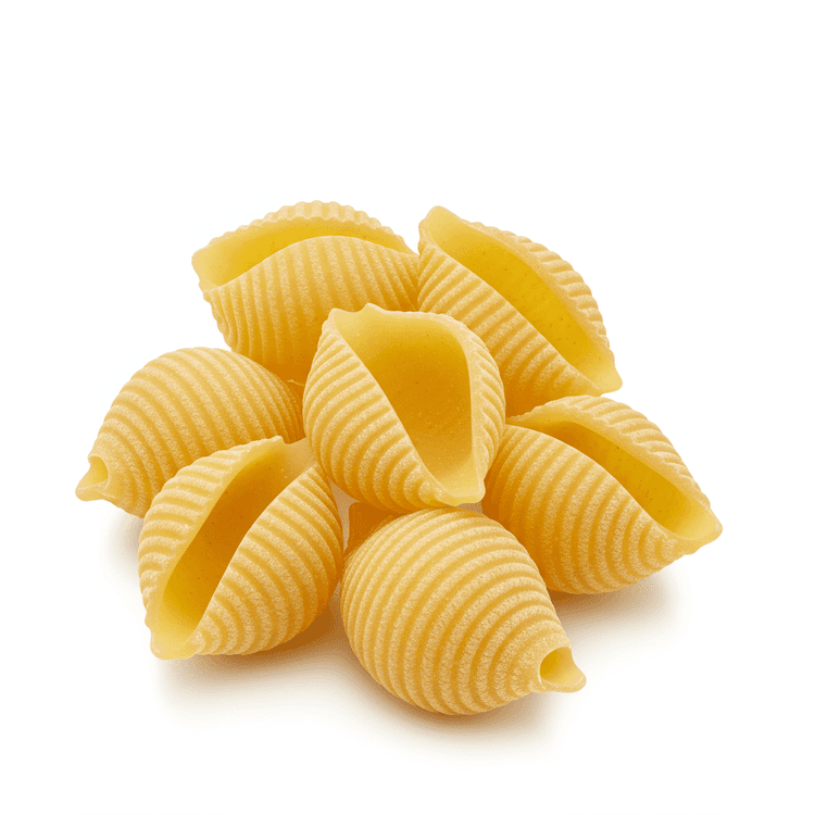 shell pasta