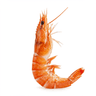 shrimp, cleaned