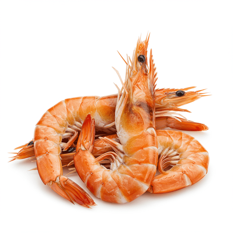 shrimp stock