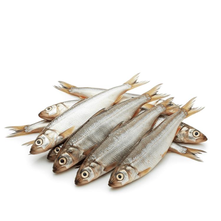 smelt
