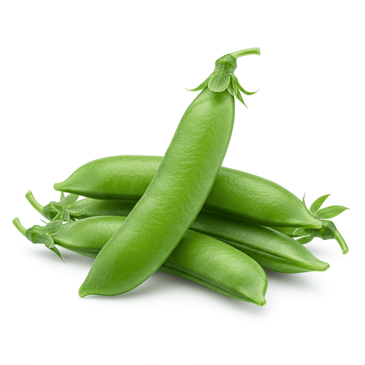 snap pea