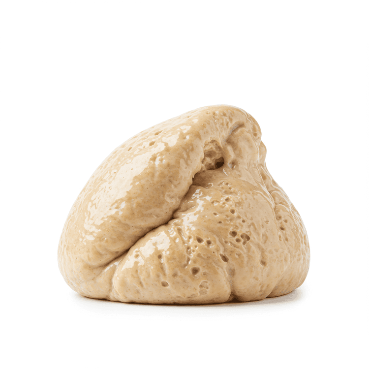 sourdough starter