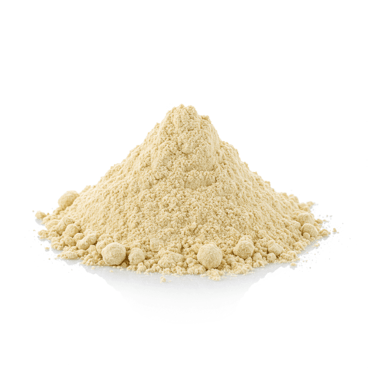 soy milk powder